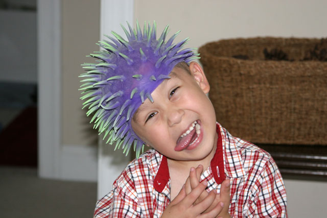 anenomehead
