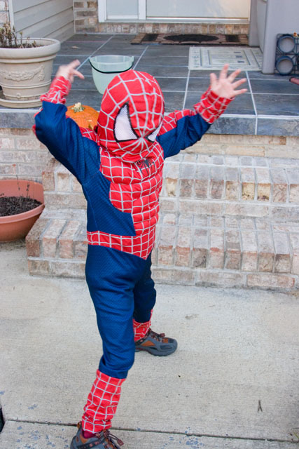 spiderman103107a