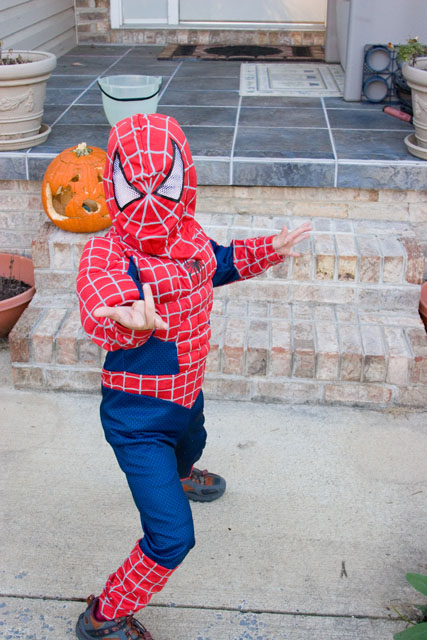 spiderman103107b