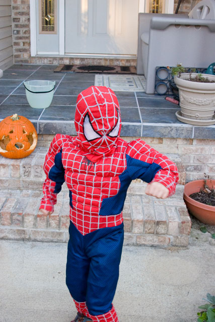 spiderman103107c