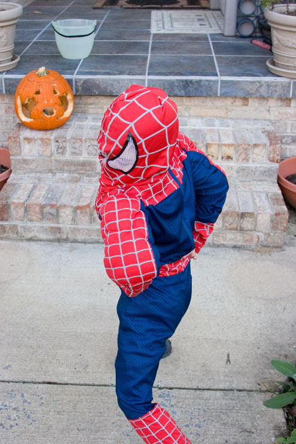 spiderman103107d