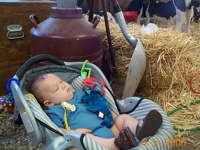 tuckered080203