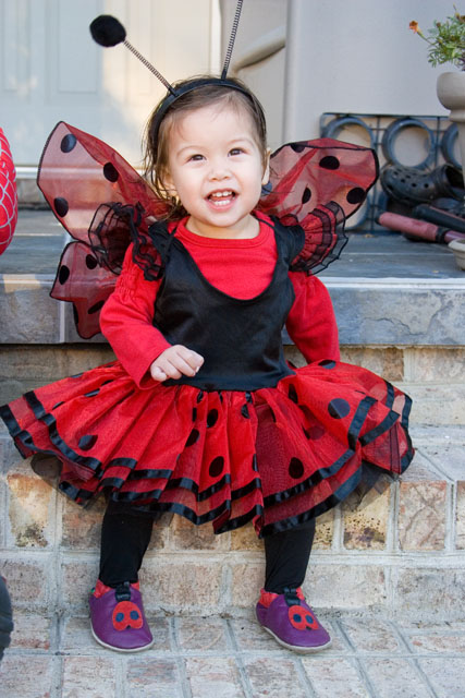 ladybug103107a
