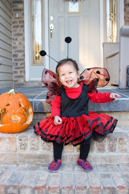 ladybug103107b