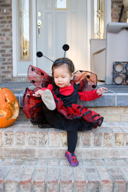ladybug103107c