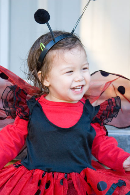 ladybug103107d