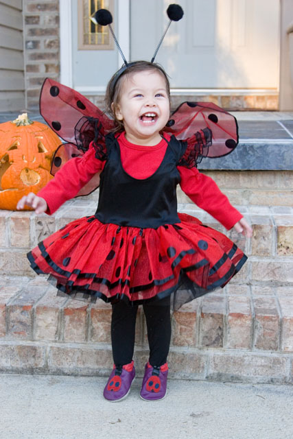 ladybug103107f