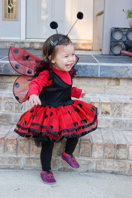 ladybug103107g