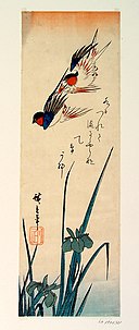 Haiku-dikt